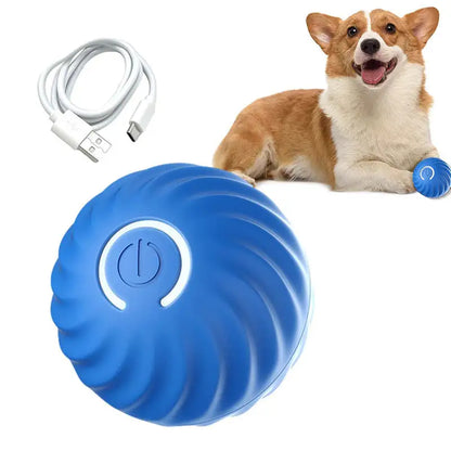 Balle interactive rebondissante bleue en gros plan, un petit chien avec une autre bleue entre ses pattes et le câble USB-C fourni
