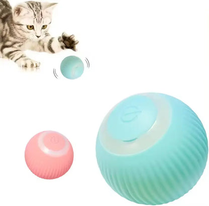 Chat tigré qui joue avec une balle interactive bleue