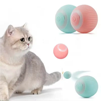 Chat gris qui regarde deux balles interactive une rose et une bleue