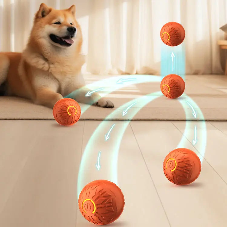 Balle interactive rebondissante rouge qui rebondit avec un chien qui regarde