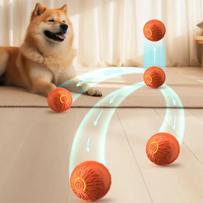 Balle interactive rebondissante rouge qui rebondit avec un chien qui regarde