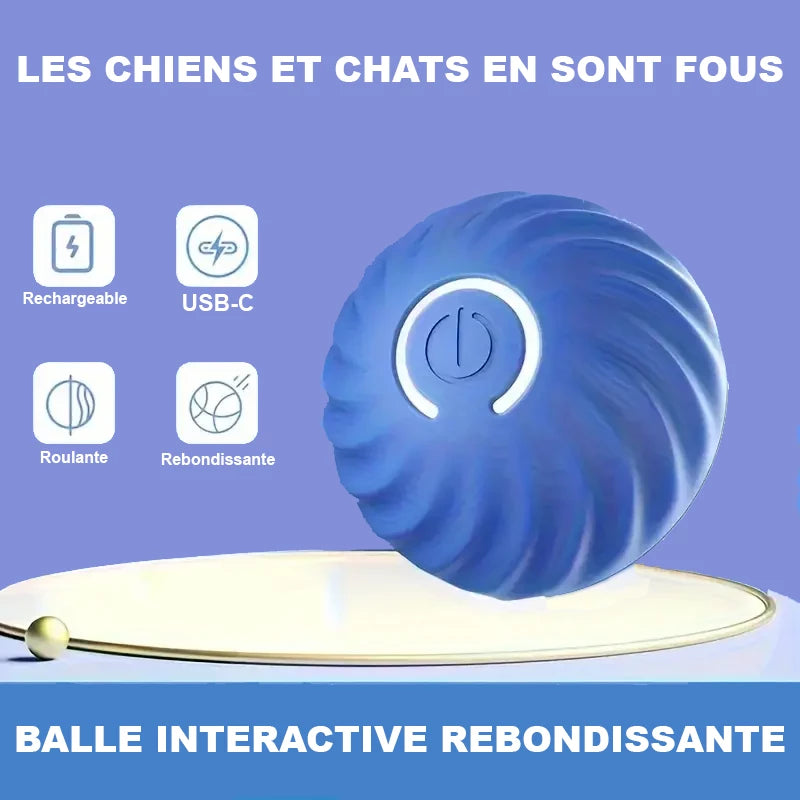 Balle interactive rebondissante les chiens et chats en sont fous rechargeable, USB-C, roulante, rebondissante
