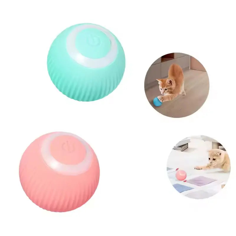 Une balle bleue une balle rose et un chat roux qui joue avec