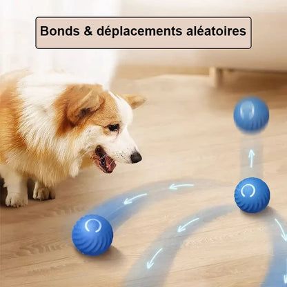Balle interactive rebondissante bonds et déplacements aléatoires balle bleue qui saute et roule avec un chien qui la regarde