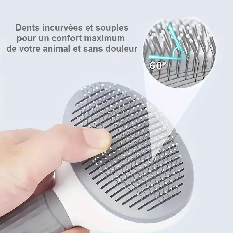 Gros plans sur les dents incurvées a 60° & souples pour un confort maximale et sans douleurs