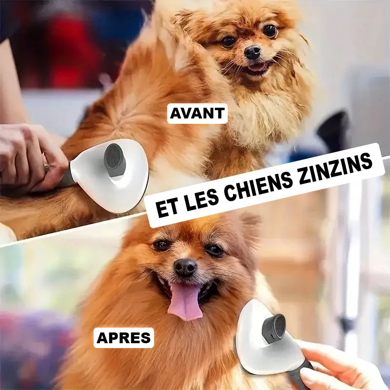 Brosse de toilettage. Photos avant/après d'un chien brosser avec notre brosse. Les chiens en sont zinzins !