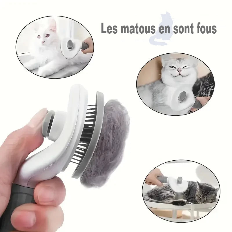 Brosse de toilettage vue de profil quand on appuie sur le bouton et que la touffe de poils s'éjecte, plus 3 petites miniatures ovales de chats en train de se faire brosser. Les matous en sont fous
