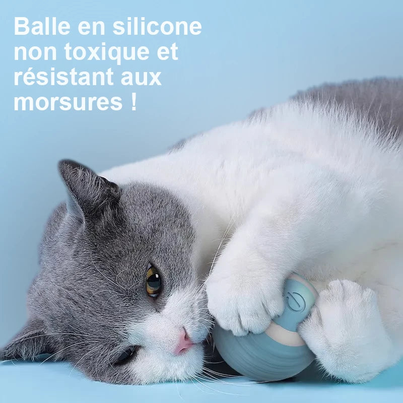 La Balle Interactive Entre les Pattes d'un Chat Texte Balle en silicone Non Toxique