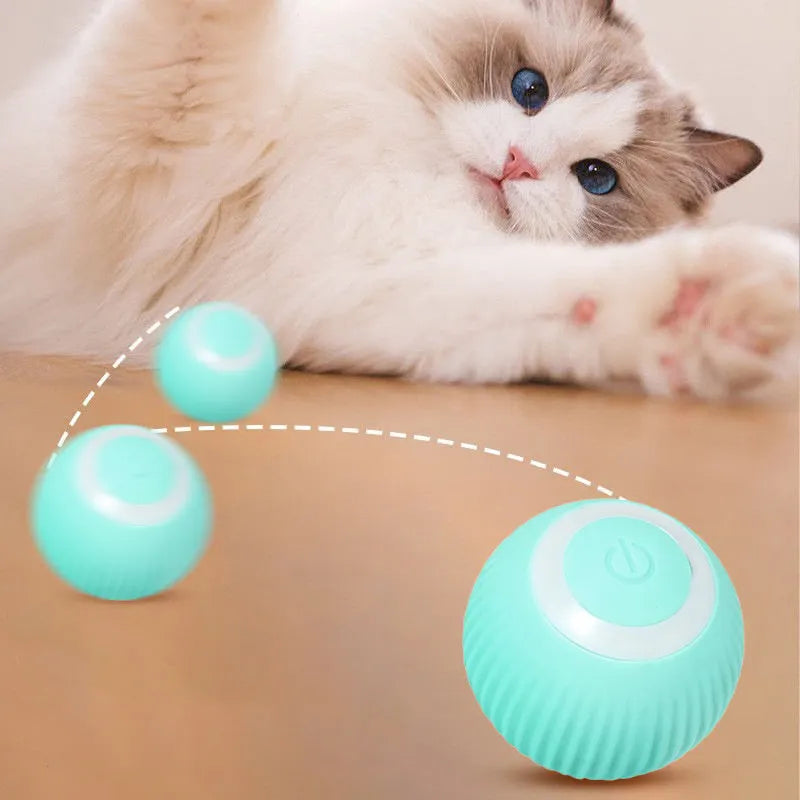 Chaton aux yeux bleus qui joue avec une balle interactive