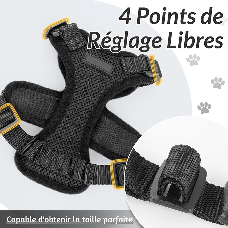 Harnais pour chat ou petit chien. 4 points de réglages pour obtenir une taille parfaite
