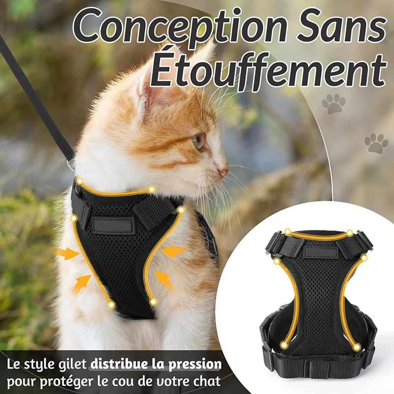 Harnais pour chat ou petit chien. Pression adroitement distribuée pour protéger l'épiderme de l'animal