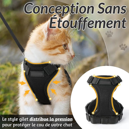 Harnais pour chat ou petit chien. Pression adroitement distribuée pour protéger l'épiderme de l'animal