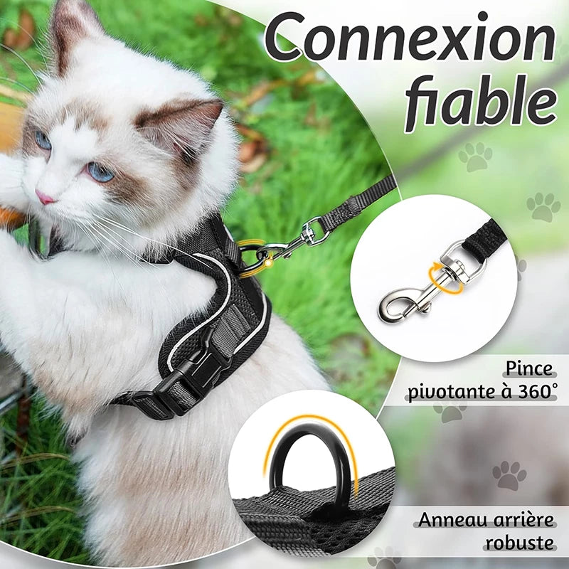 Harnais pour chat ou petit chien. Anneau de connexion très solide et fiable pour la laisse