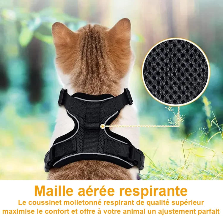 Harnais pour chat ou petit chien. Zoom sur la maille respirante de haute qualité du harnais