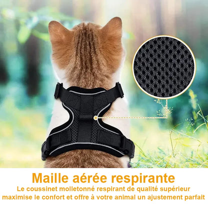 Harnais pour chat ou petit chien. Zoom sur la maille respirante de haute qualité du harnais