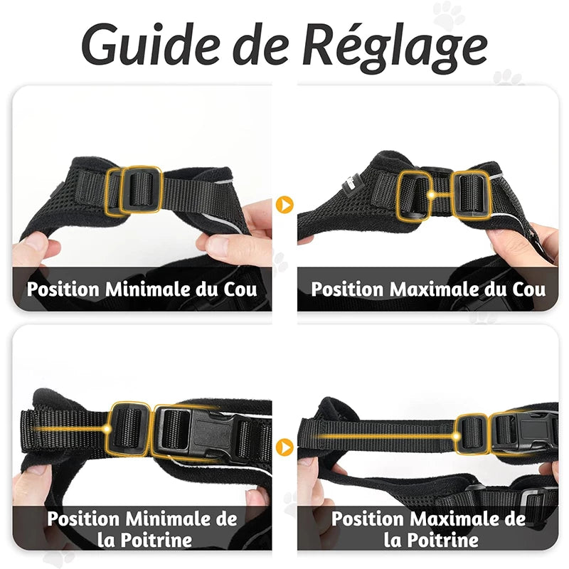 Harnais pour chat ou petit chien. Guide réglage