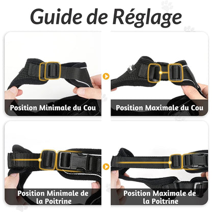 Harnais pour chat ou petit chien. Guide réglage