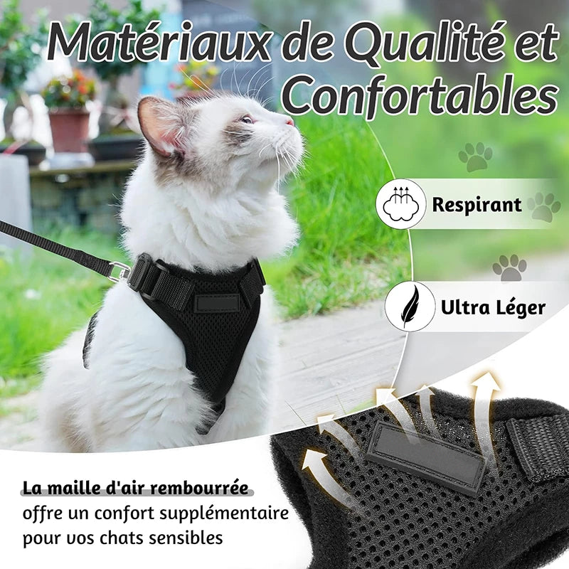 Harnais pour chat ou petit chien matériaux de hautes qualités. respirant, ultra léger, très solide et bande luminescentes qui brillent dans le noir