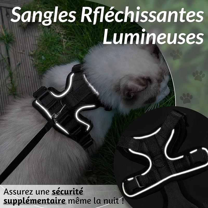 Harnais pour chat ou petit chien. Zoom sur les bandes réfléchissantes qui brillent dans le noir