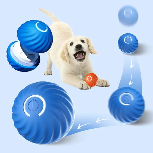 Balle Gravitationnelle bleue qui se déplace, saute, ouverte pour chargement et un labrador avec une balle orange entre les pattes