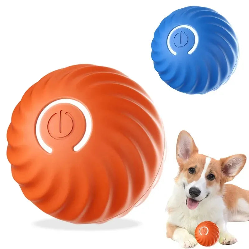 Balle interactive rebondissante petit chien avec une orange entre ses pattes et la rouge en gros plan avec la bleue en arrière plan