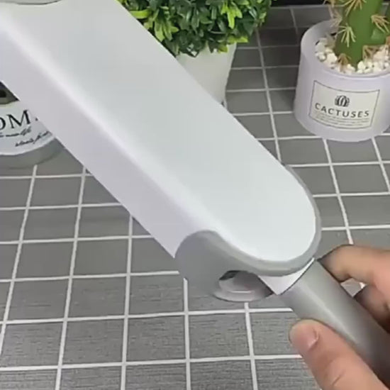 Brosse Ramasse Poils Electrostatique Vidéo de Démonstration