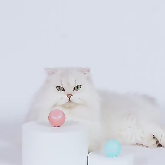 Vidéo de démonstration de la balle interactive