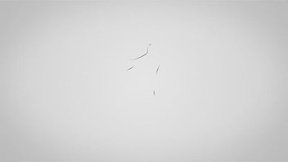 Harnais pour chat ou petit chien. Vidéo de démonstration