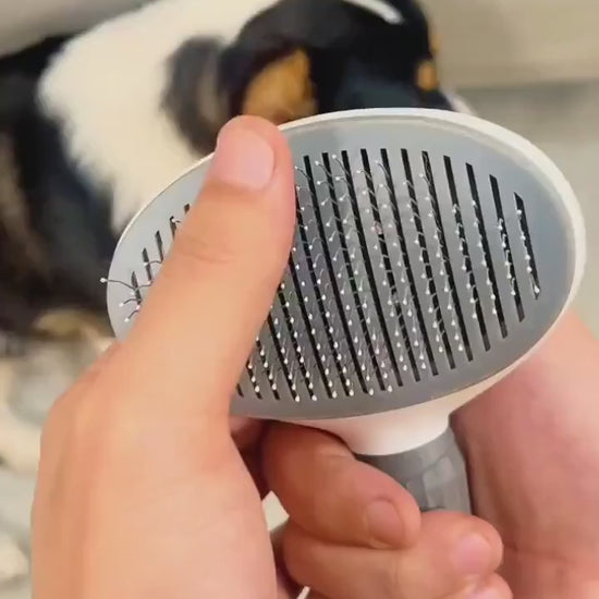 Brosse de toilettage auto nettoyante. Vidéo de démonstration !