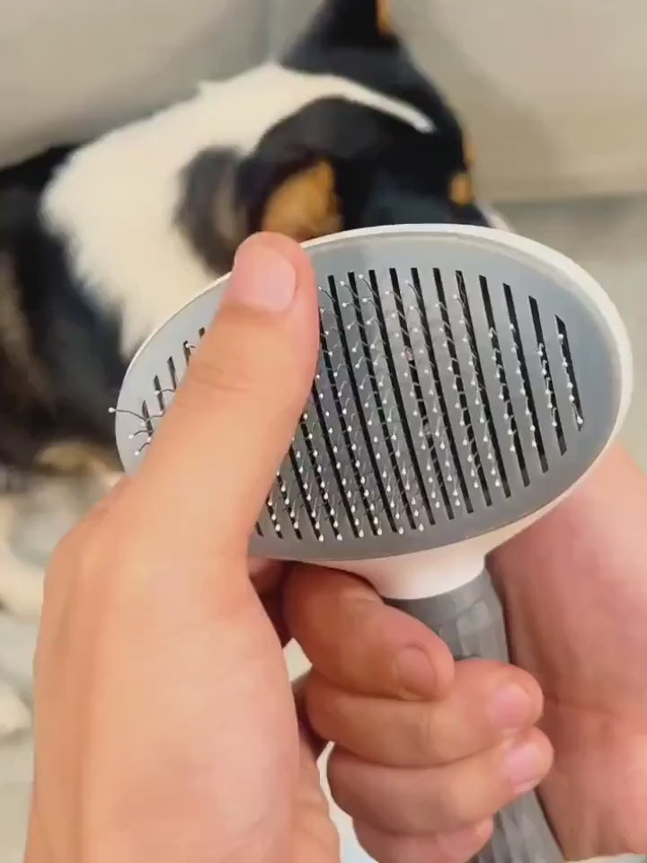 Brosse de toilettage auto nettoyante. Vidéo de démonstration !
